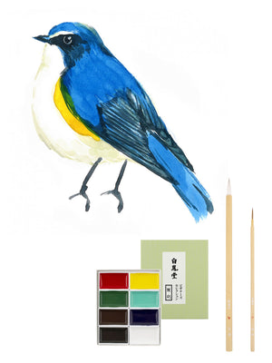白鳳堂 - 公式オンラインショップ