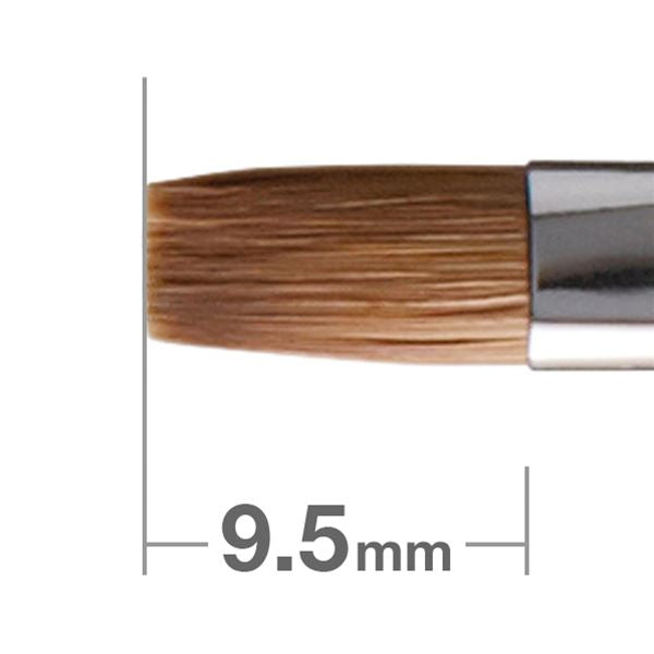 Brush 3点セット（Leiv商品） for-Bosch-2-609-199-168-Carbon