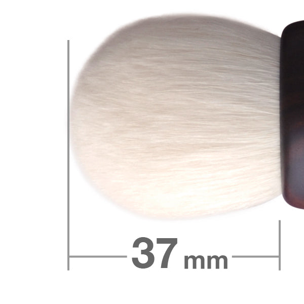 H3013_600_1_1000x.jpg?v=1750174927